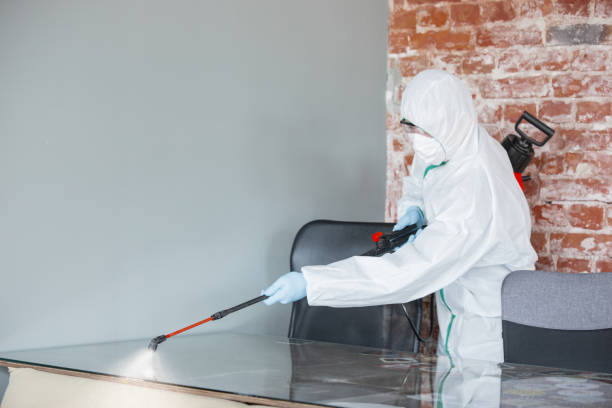 Best Water Damage & Mold Remediation  in Ellsworth, WI